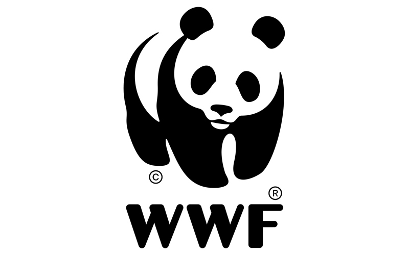 Our Middle School WWF Team Will Participate in the Nature Pioneers Festival