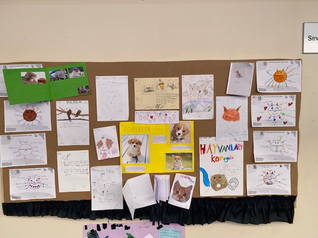 Our Grade 2 Students Celebrated World Animal Day with Various Activities