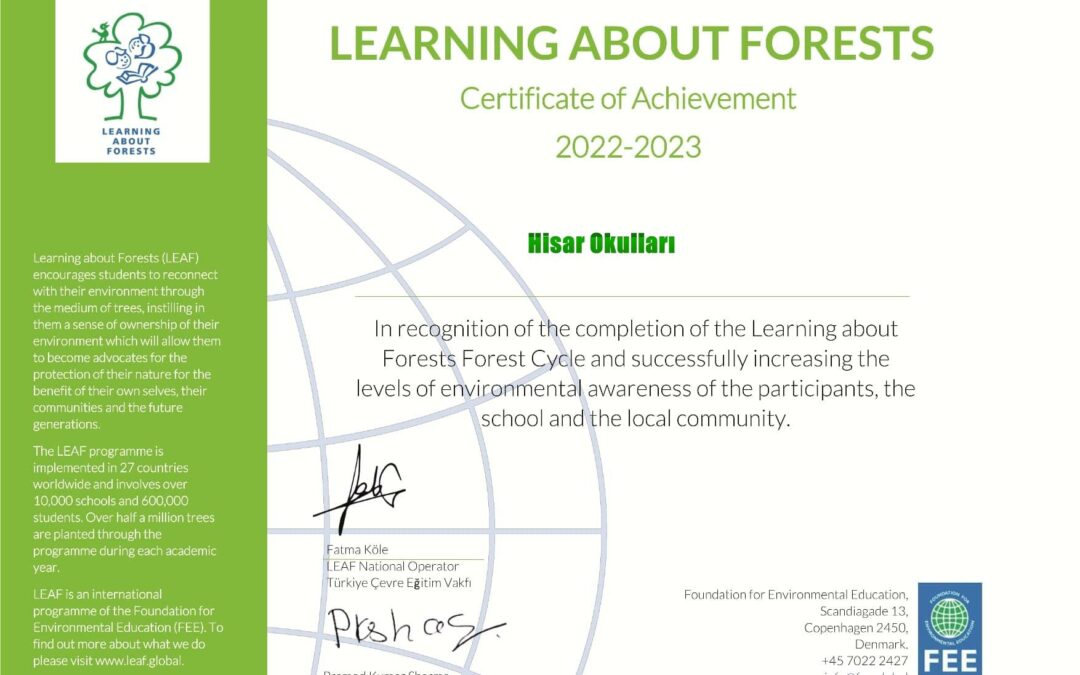 Our teachers successfully completed the Learning About Forests Programme